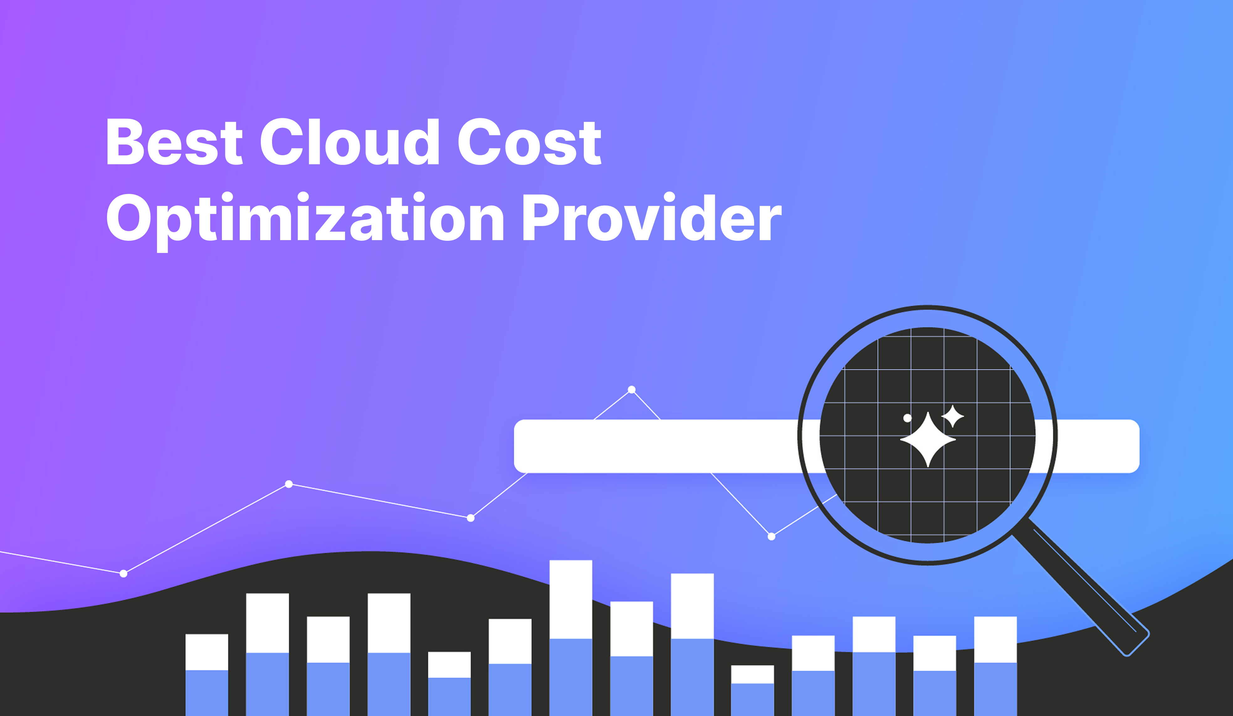 Best Cloud Cost Optimization Provider | Vantage
