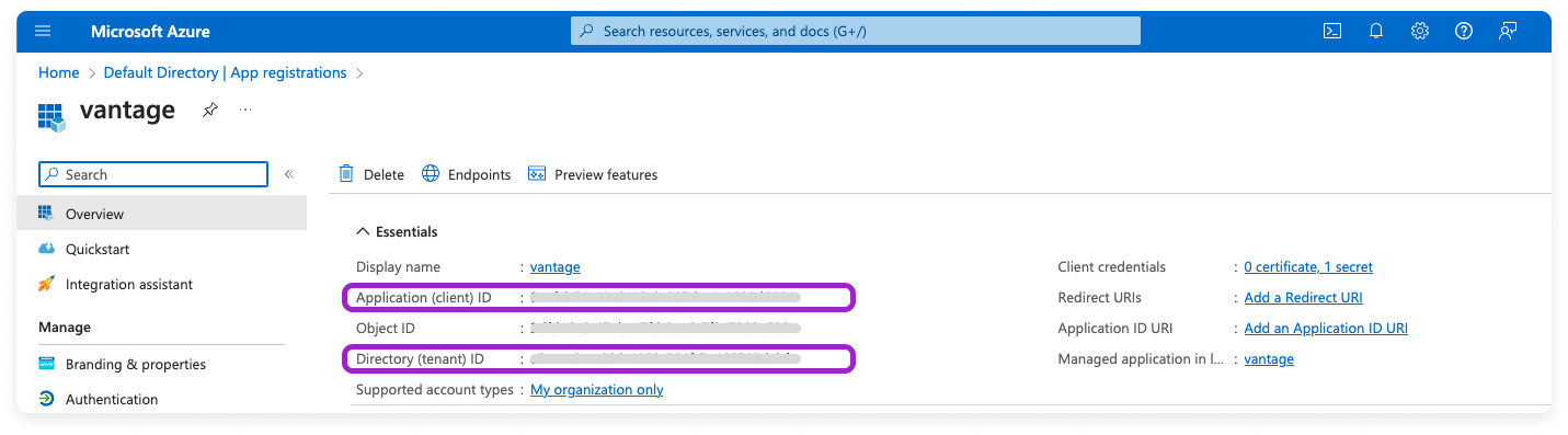 Azure portal with the client ID and tenant ID displayed and highlighted