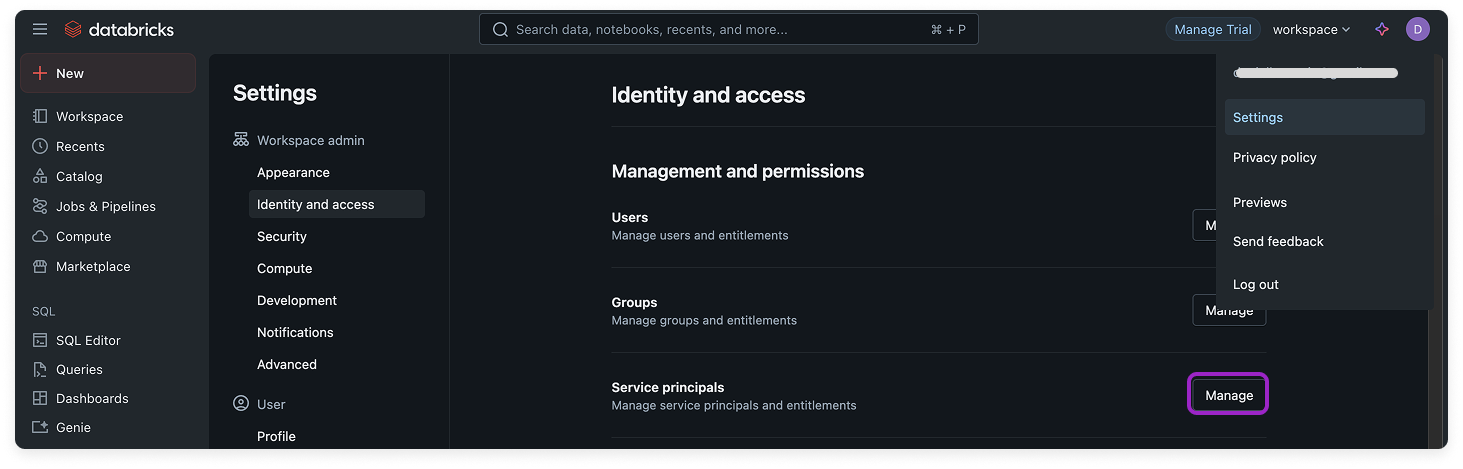 Next to Service principals click manage
