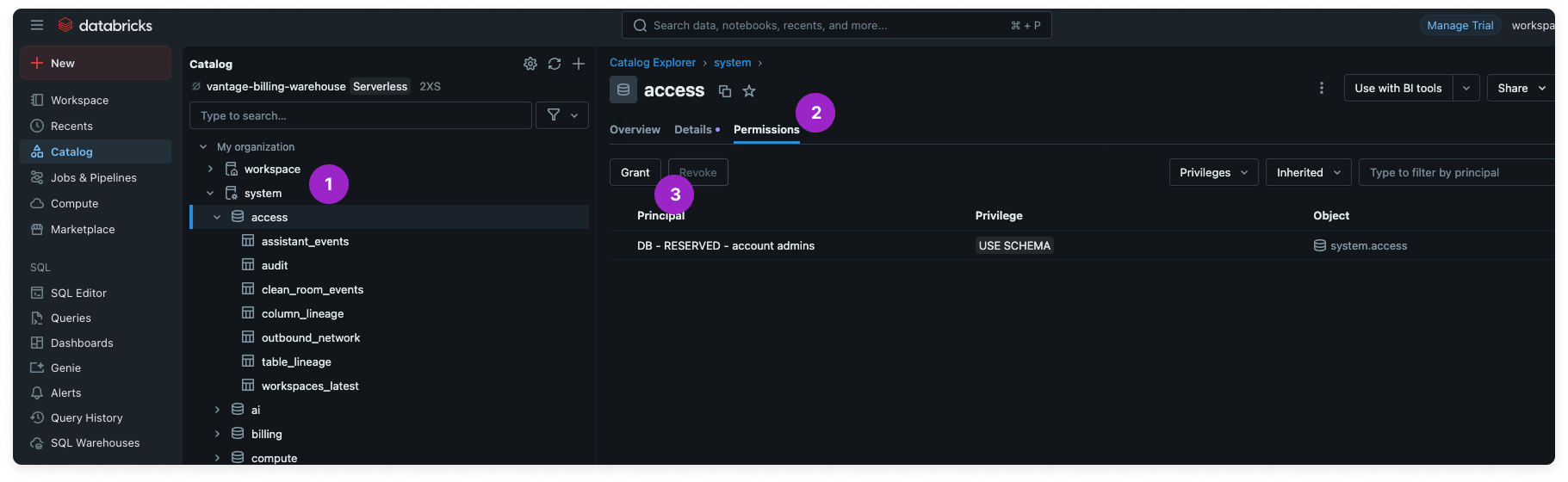 Add permissions to schemas