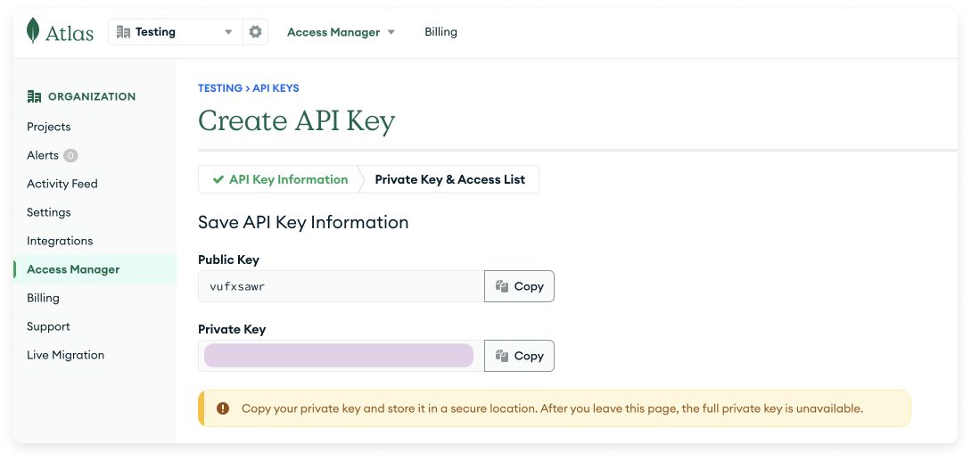 Copy API keys in MongoDB Atlas
