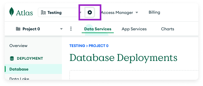 Open Organization Settings in MongoDB Atlas