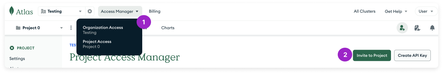Invite to project in MongoDB Atlas