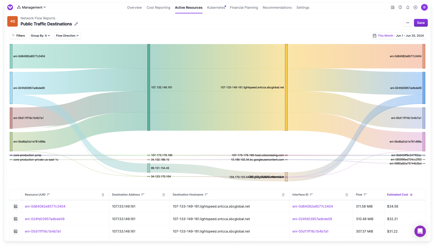 Sample Network Flow Report with all public traffic