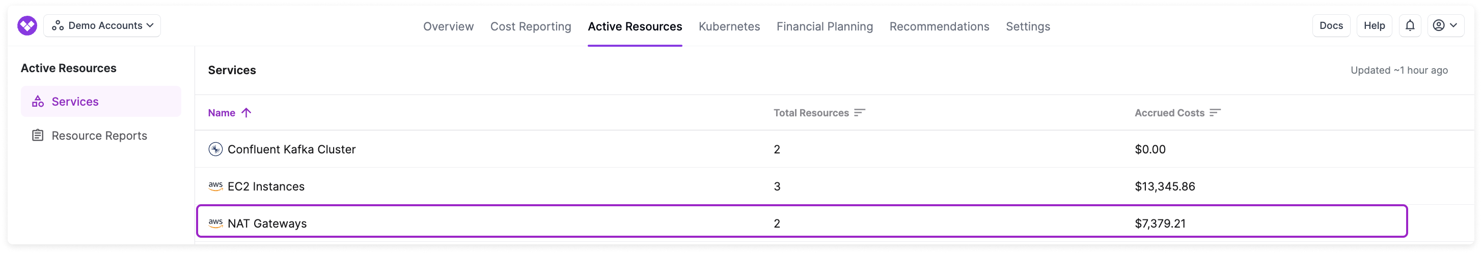 A sample resource report with a box around the NAT Gateways resource in the list